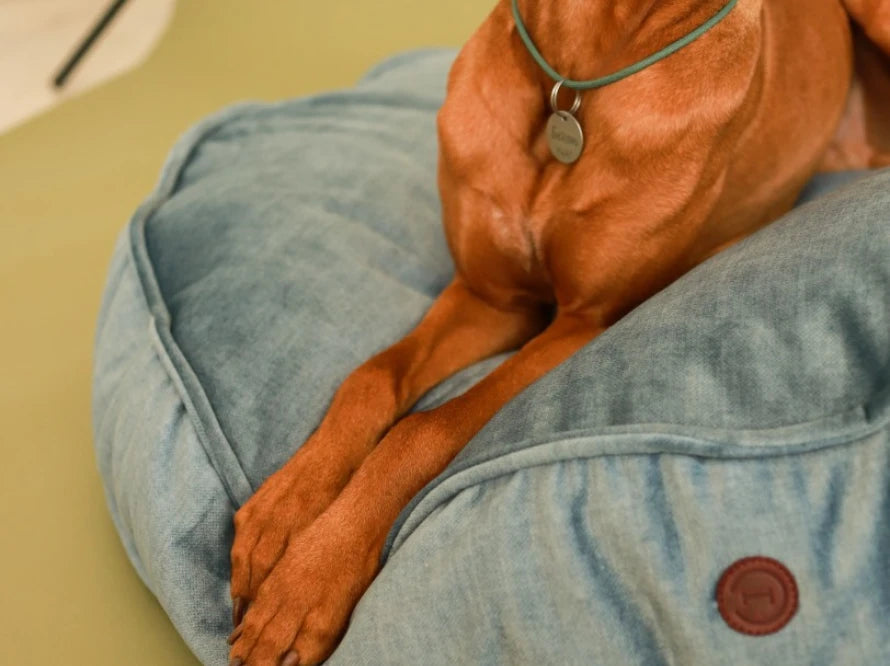 Island Memory Foam Dog Pillow