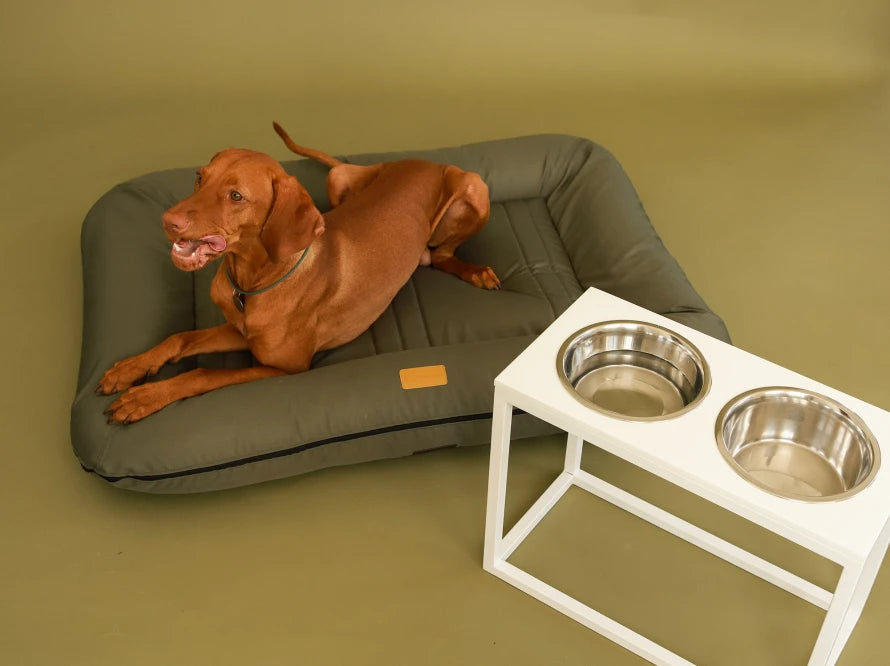 LOUNGER Waterproof