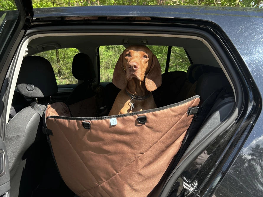 Car Dog Hammock Saver Brown - Transformer