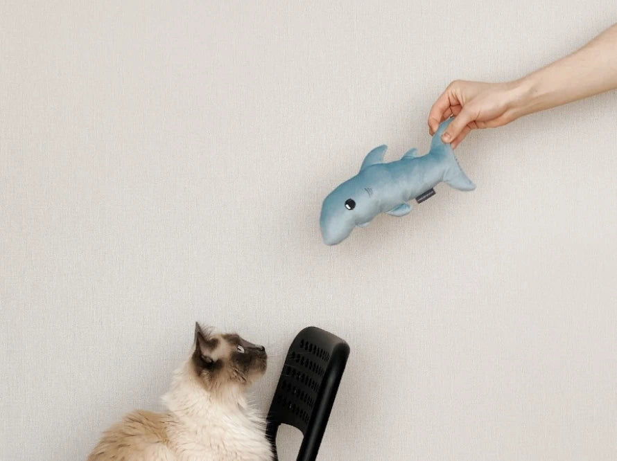 BABY SHARK