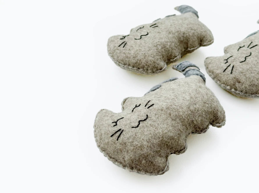 CAT RETREAT with Mint