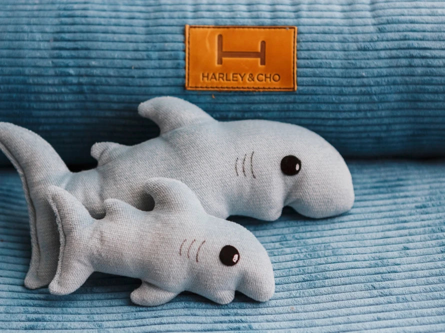 BABY SHARK