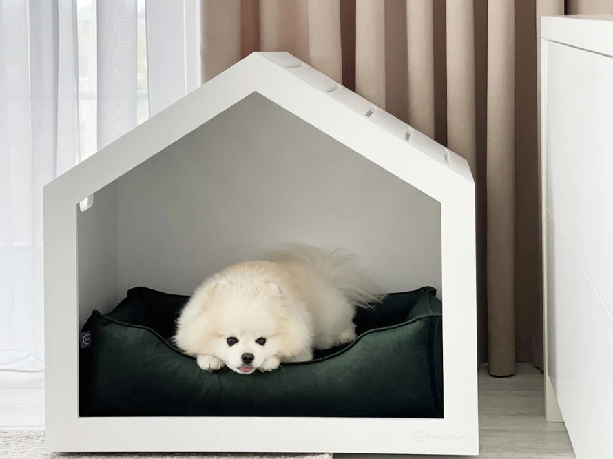 Shelter Weiß Velour#Grün