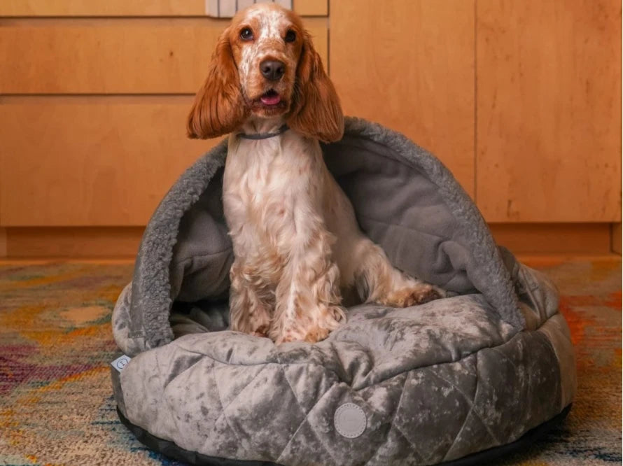 COVER Plush Memory Foam