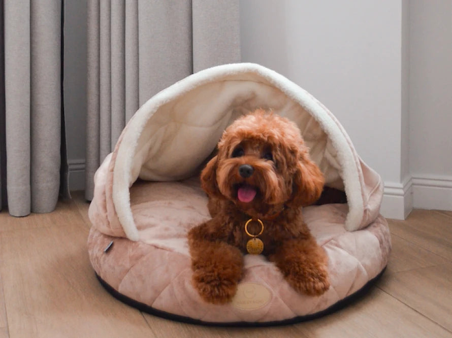 COVER Plush Memory Foam