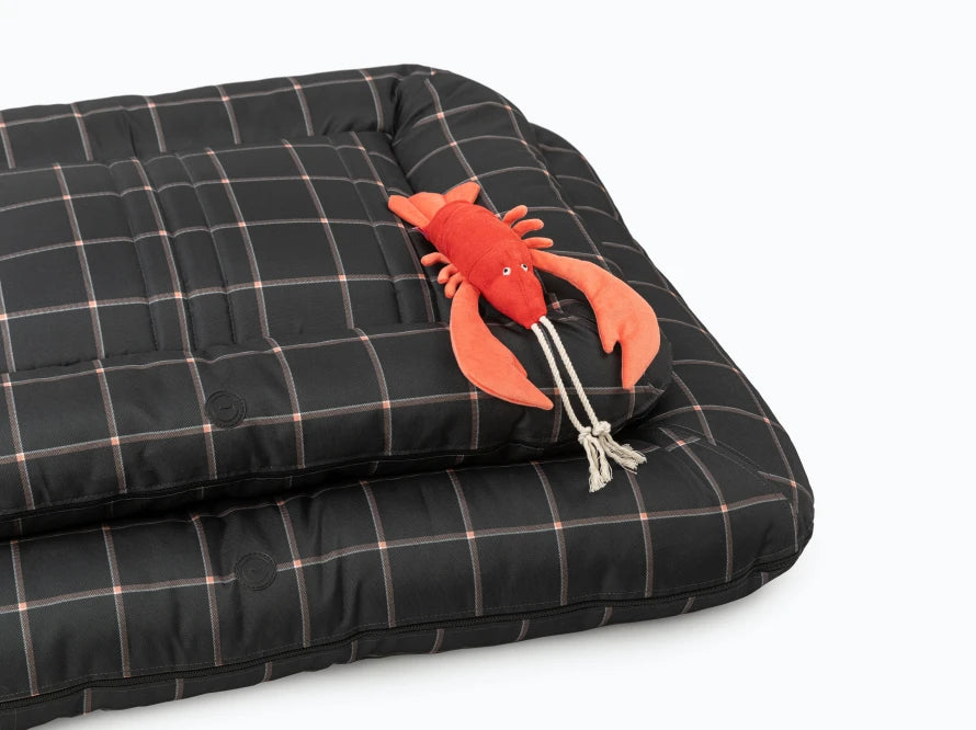 LOUNGER SCOTCH Waterproof