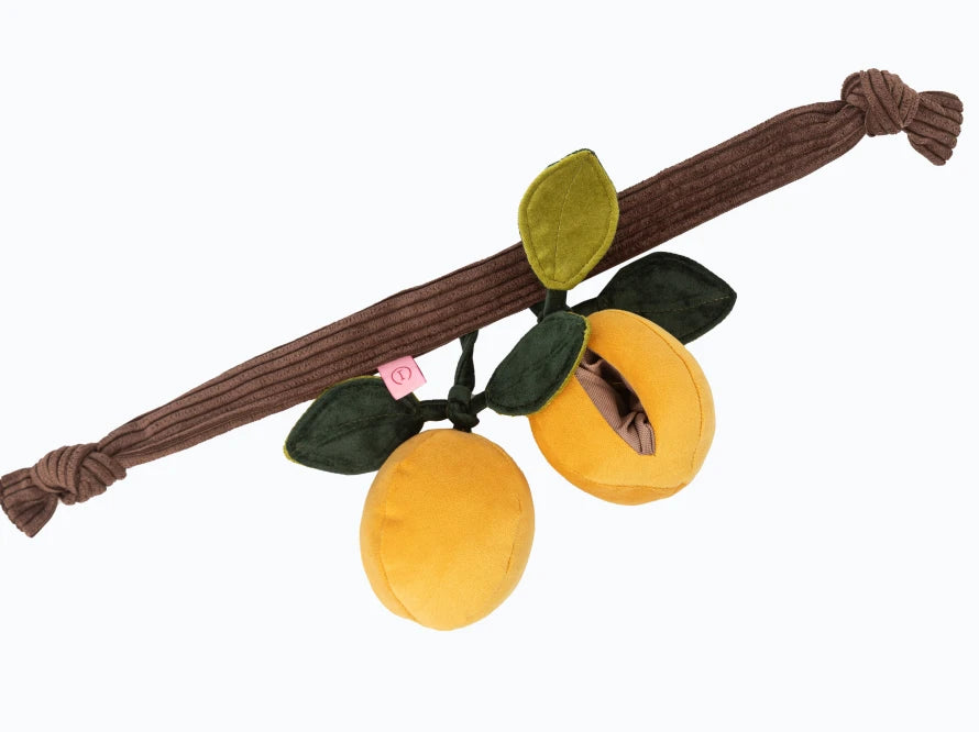 APRICOTS