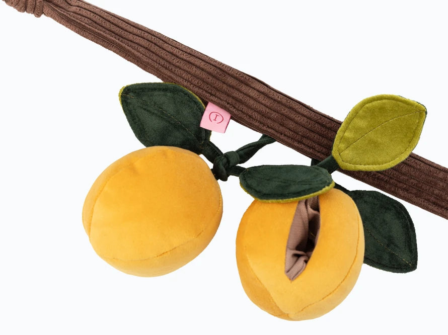 APRICOTS