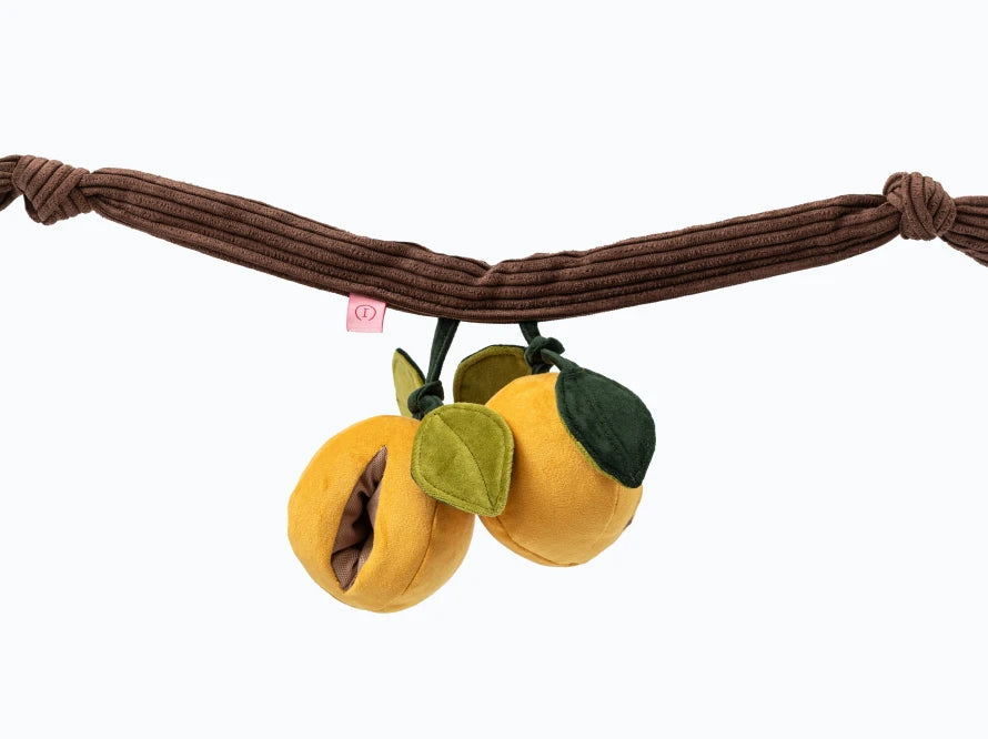 APRICOTS