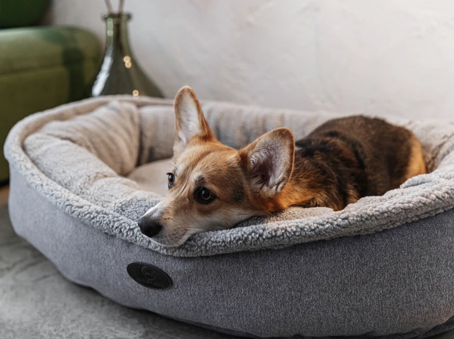 DONUT FUR