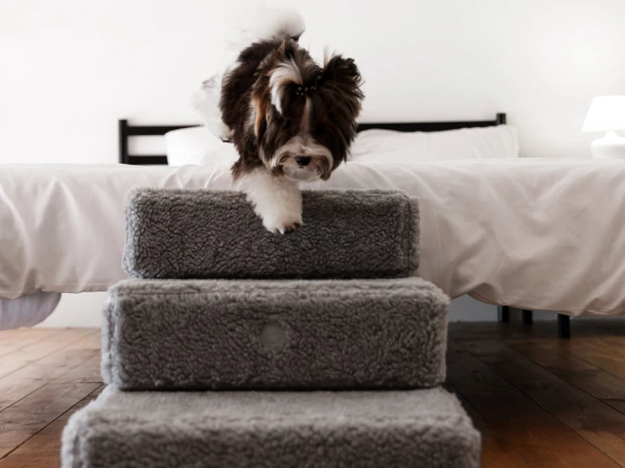 TETRIS FUR Double