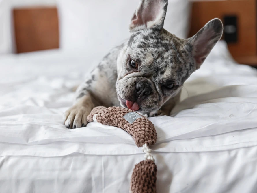 SAUSAGES Dog Toy / Interactive Plush Toy / Gentle Crinkle