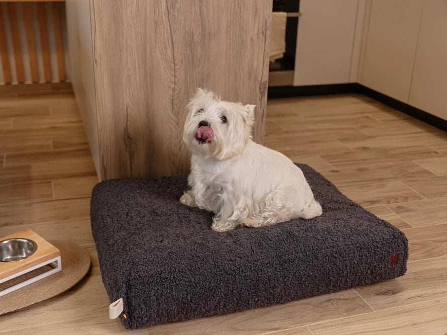 CURLY PUFF Memory Foam