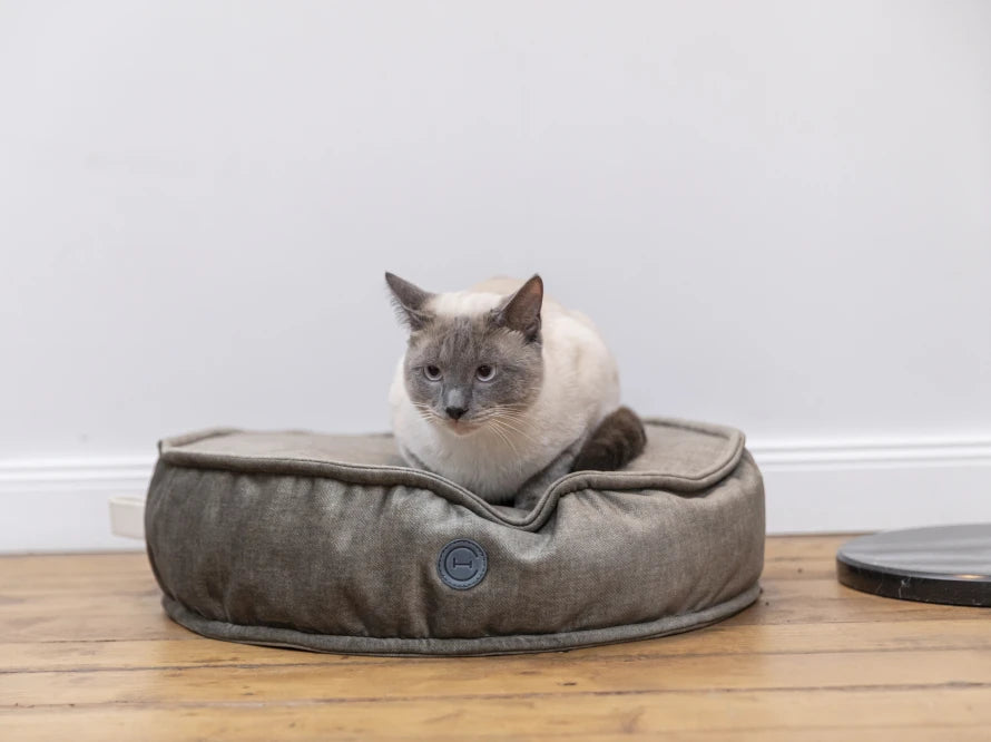 ISLAND Memory Foam