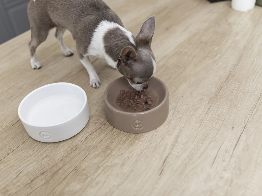 Ceramic Dog Bowl Ceramic Bowl