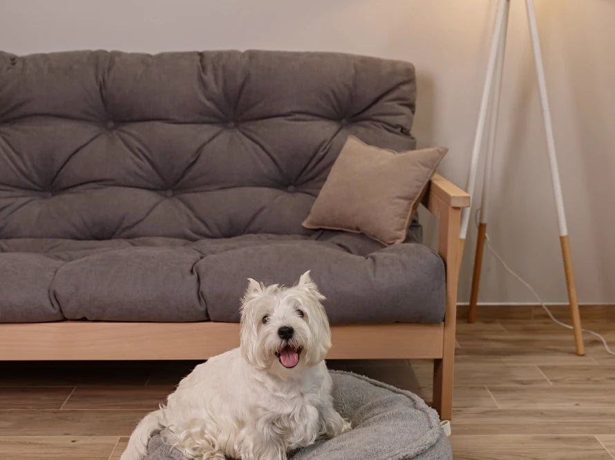 ISLAND FUR Memory Foam