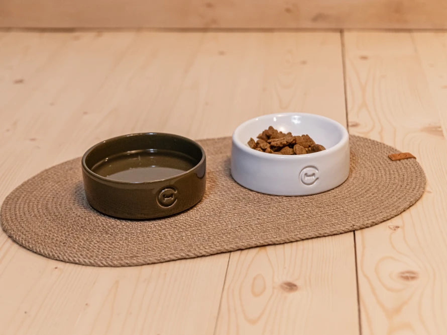 Ceramic Dog Bowl Ceramic Bowl