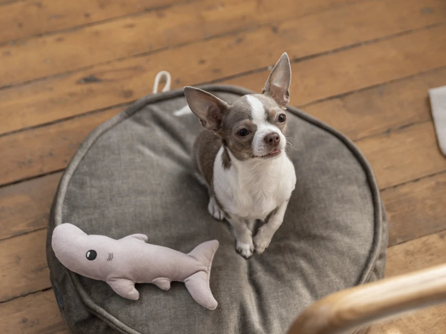Island Memory Foam Dog Pillow