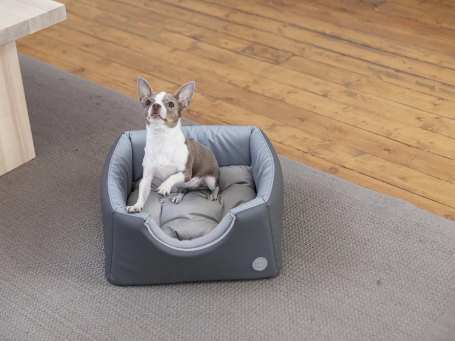 Cat House Cabrio