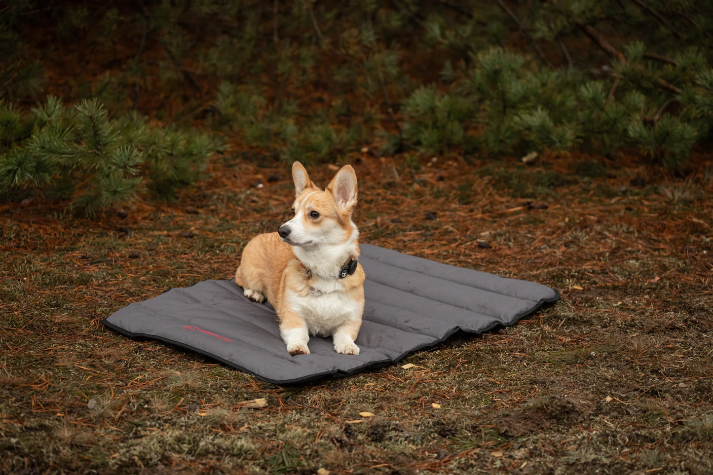 ROLL travel bed