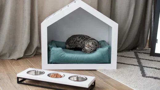 Top 3 der besten Katzenhäuser von Harley & Cho