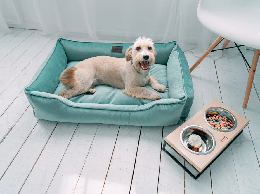 Hundebetten