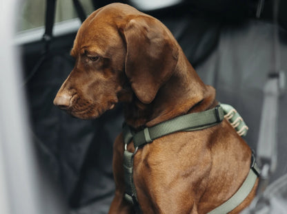 Auto-Hundehängematte Daily Grau