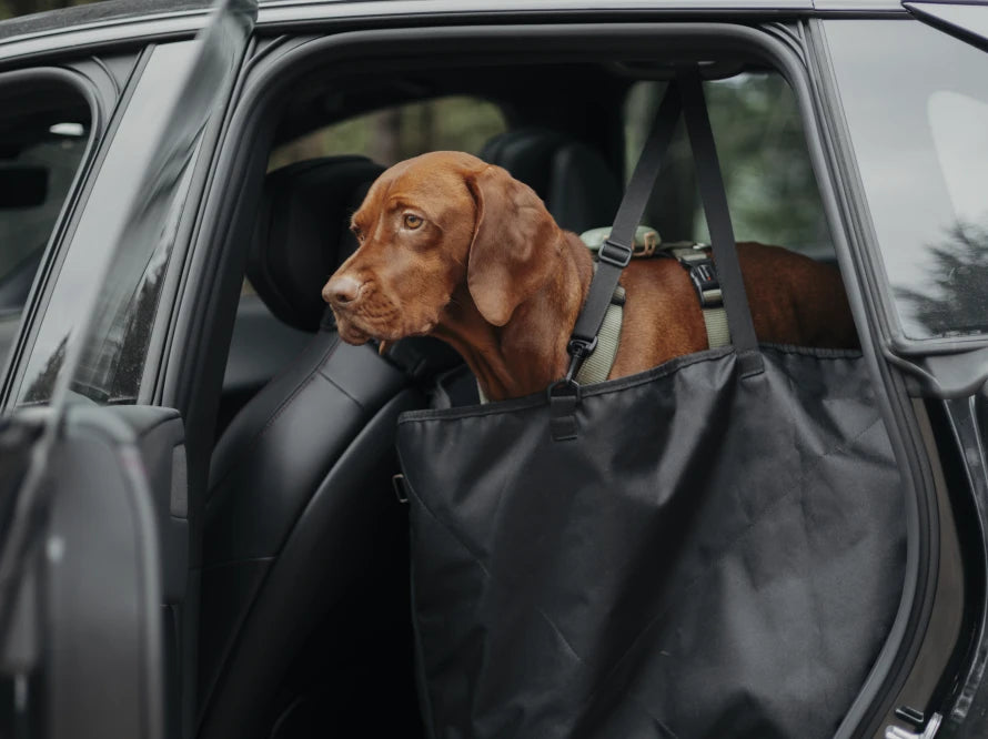 Auto-Hundehängematte Daily Grau