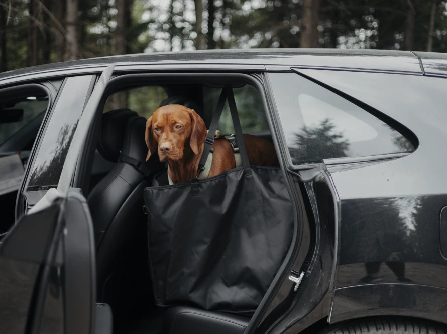 Auto-Hundehängematte Daily Grau