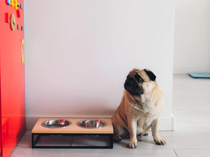 Ceramic Dog Bowl Ceramic Bowl