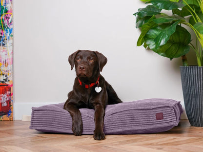 MEMORY FOAM Kissen