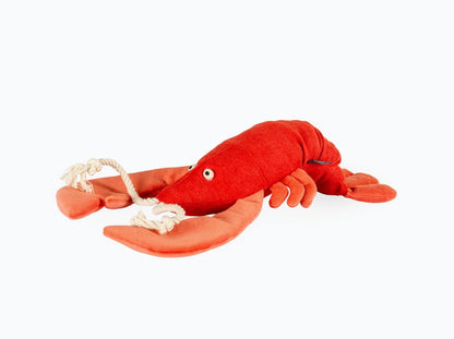 LOBSTER SEBASTIAN