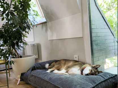 MEMORY FOAM Kissen