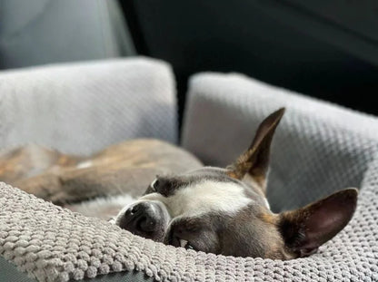 DISCOVERY dog car seat