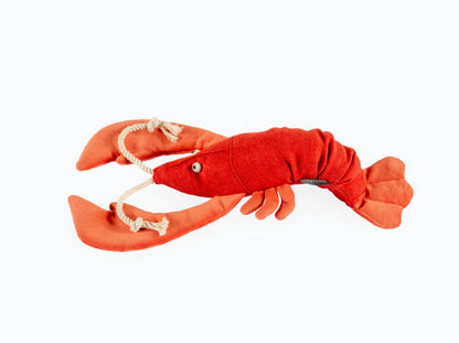 LOBSTER SEBASTIAN