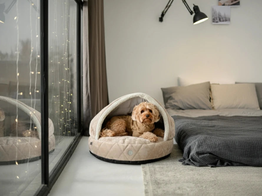 COVER Plush Memory Foam#Beige