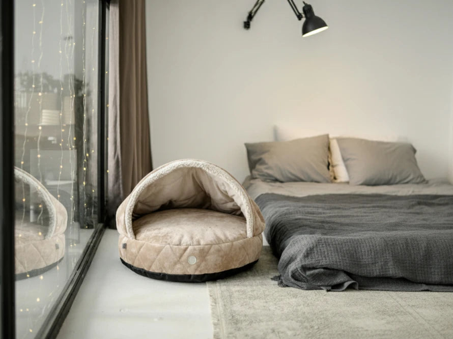 COVER Plush Memory Foam#Beige