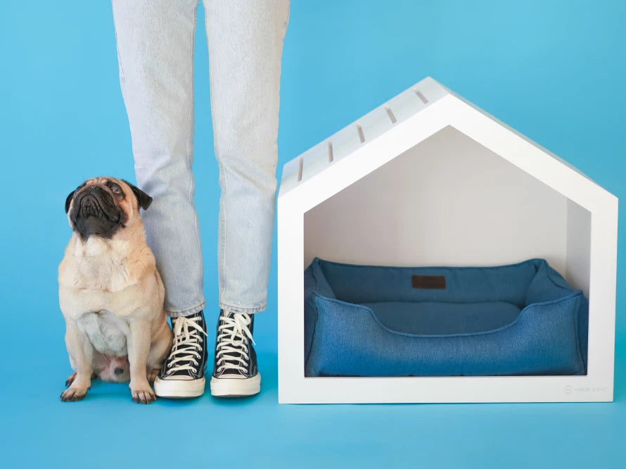 Shelter Weiß Strukturgewebe#Blau