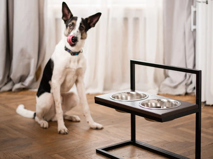 Ceramic Dog Bowl Ceramic Bowl