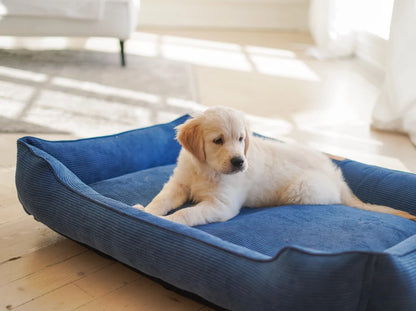 DOG BED DREAMER VELVET Yellow
