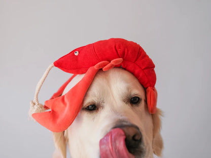 LOBSTER SEBASTIAN