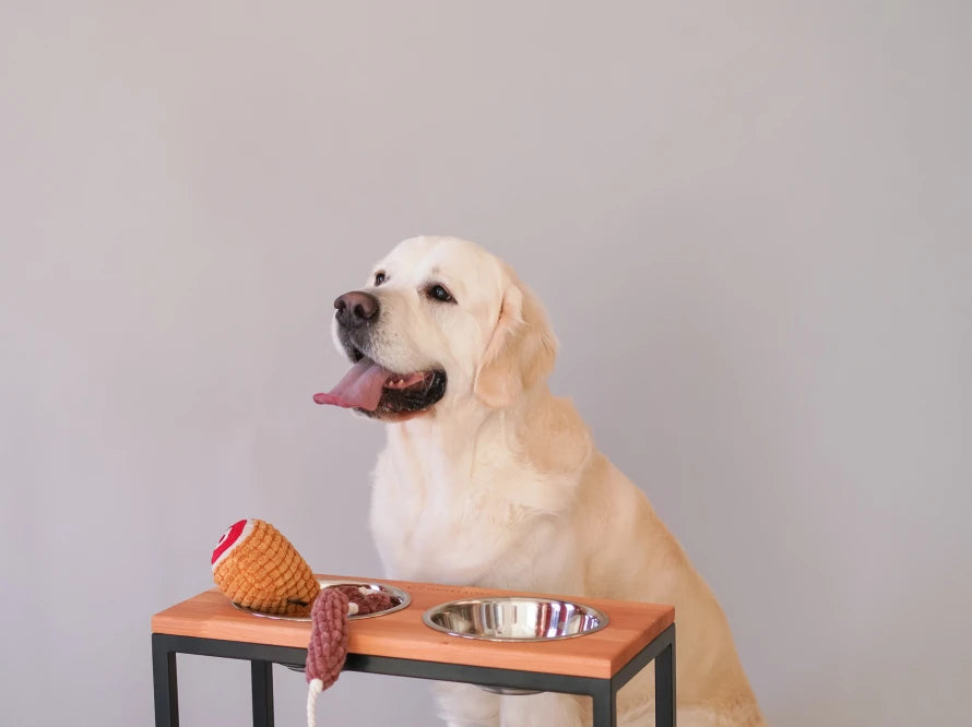 Ceramic Dog Bowl Ceramic Bowl
