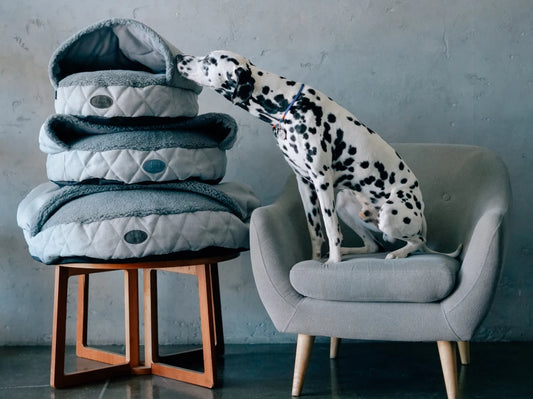 COVER Memory Foam