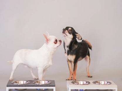 Ceramic Dog Bowl Ceramic Bowl