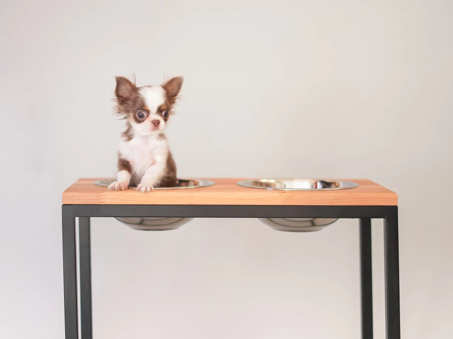 Ceramic Dog Bowl Ceramic Bowl