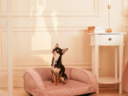 SLEEPER MINI Sofa