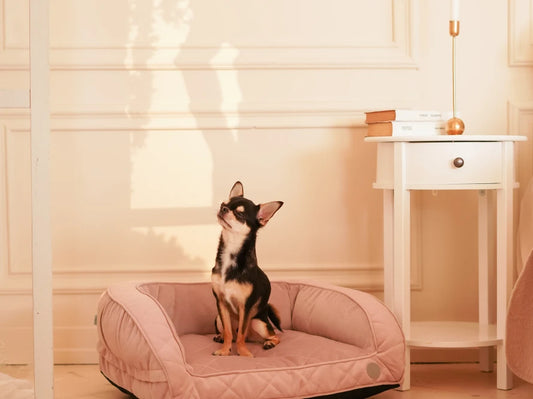 SLEEPER MINI Sofa