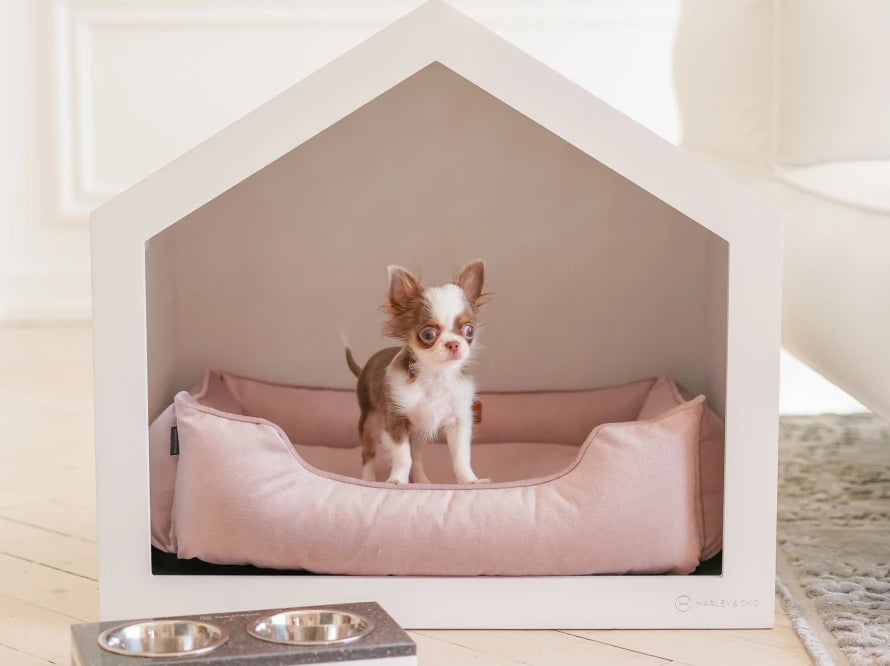 Shelter Weiß Velour#Pudra