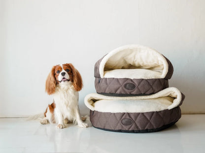 COVER  Memory Foam