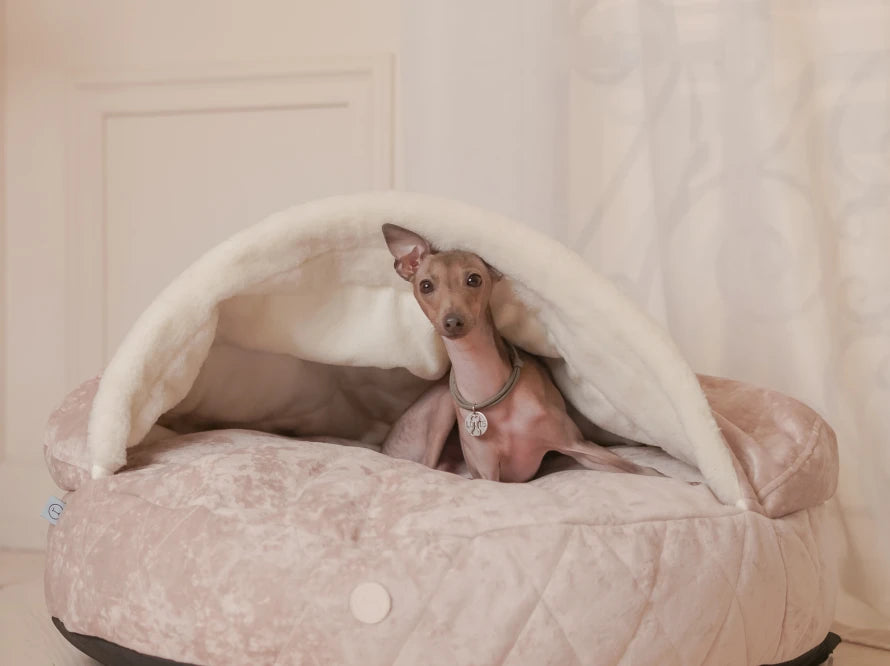 COVER Plush Memory Foam#Beige